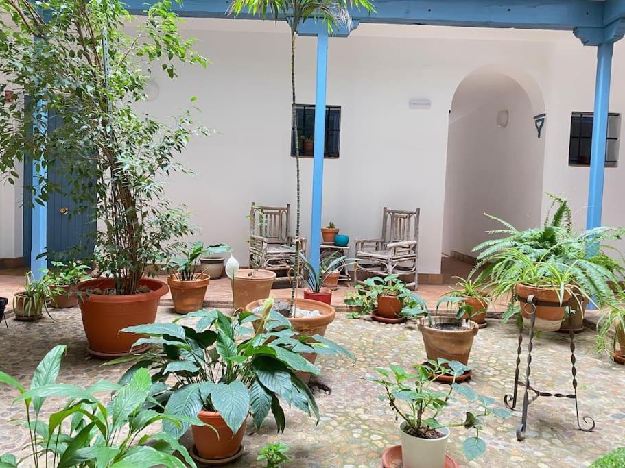 Hispalis Casa Pilatos Sevilla Kültér fotó